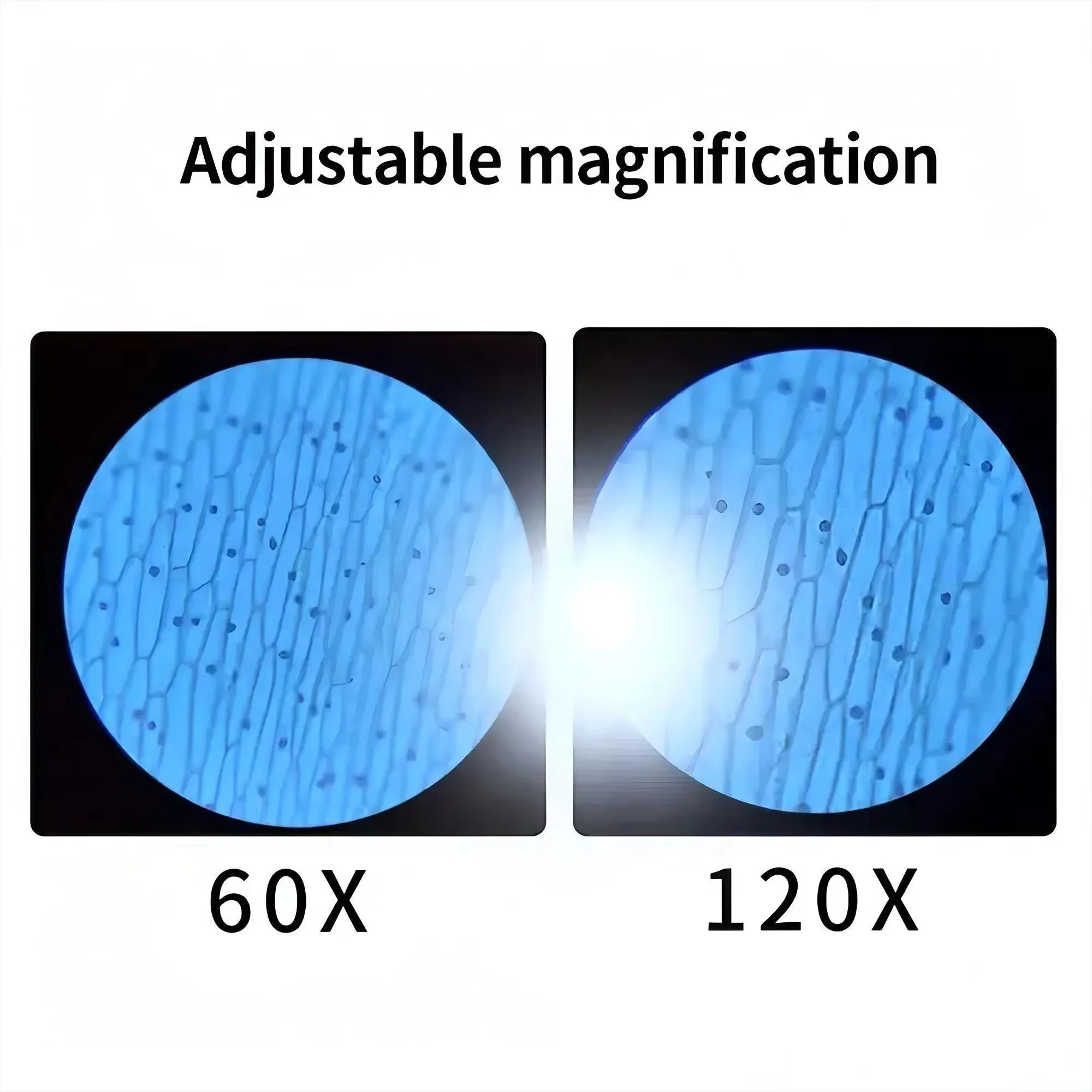 ミニポケット顕微鏡 60倍 120倍 ポータブル LED照明 - Microscope Kids Science のレビューと価格