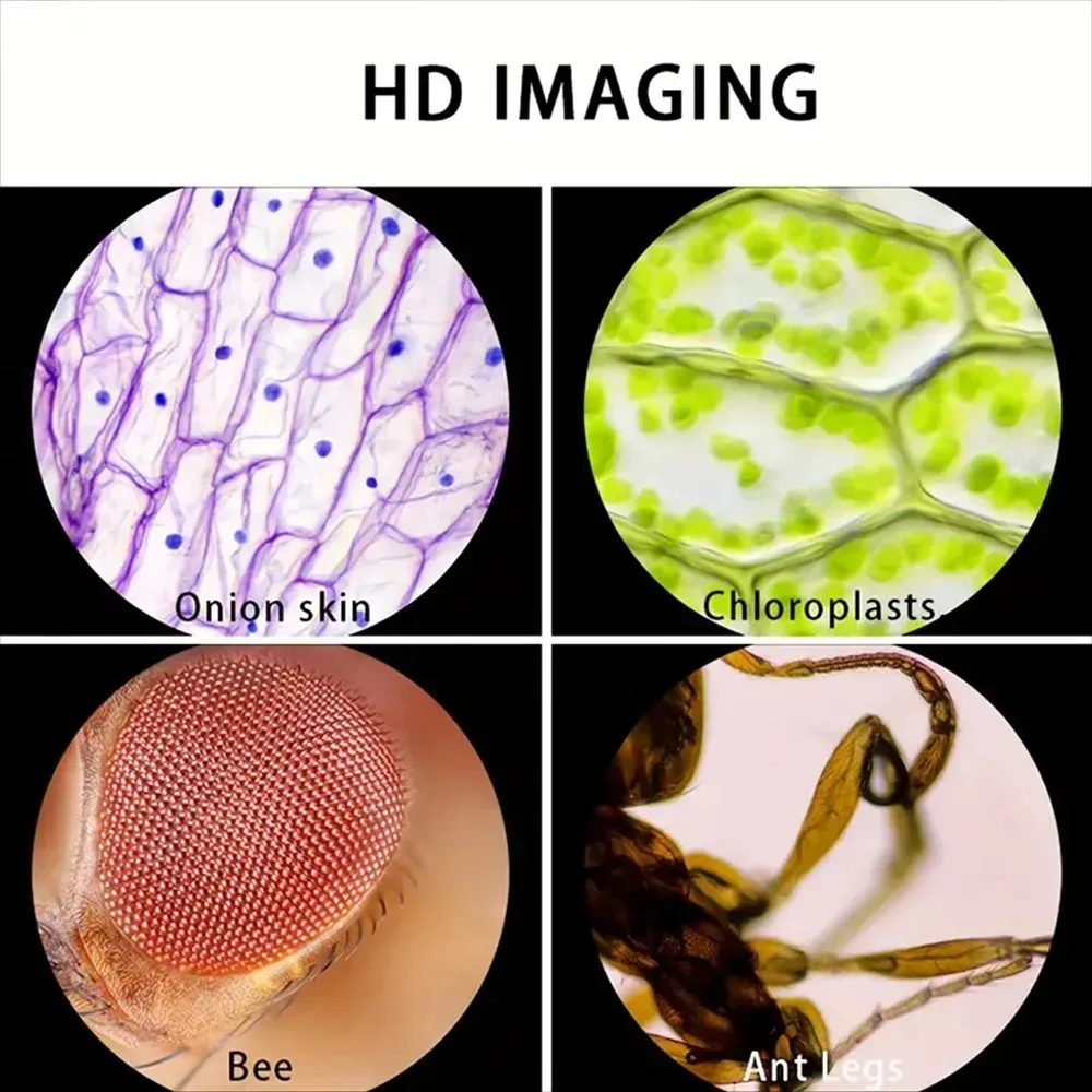 顕微鏡 60-120X ラボ用ハンドヘルド顕微鏡 バッテリー - Microscope Kids Science のレビューと価格