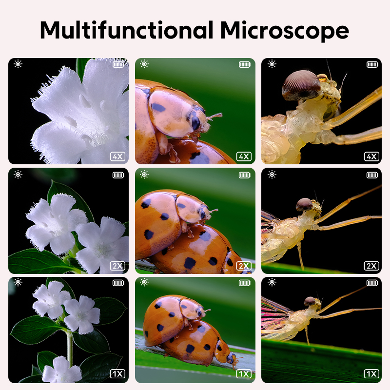 ミニ子供光学顕微鏡写真とビデオ機能 500X 顕微鏡世界を観 - Microscope Kids Science のレビューと価格