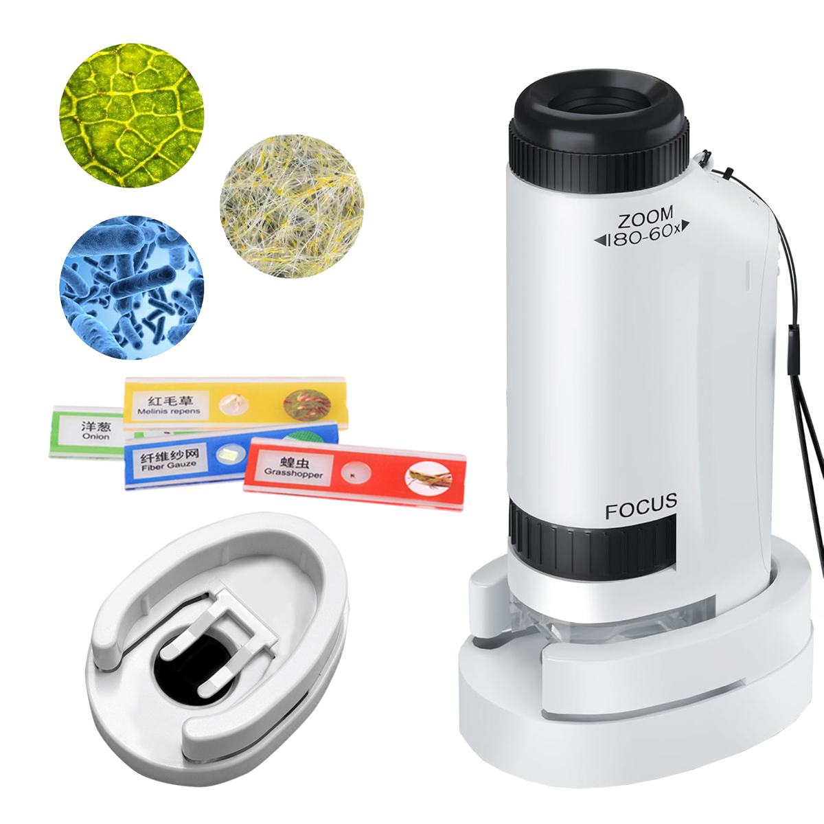 ミニ顕微鏡ハンドヘルドおもちゃキット、LEDライトと2つのA - Microscope Kids Science のレビューと価格